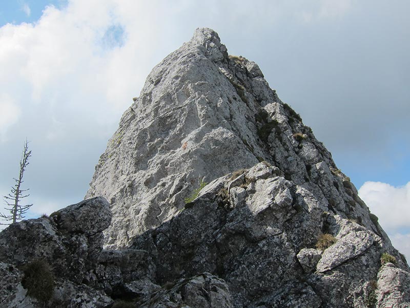 Rauschkogel